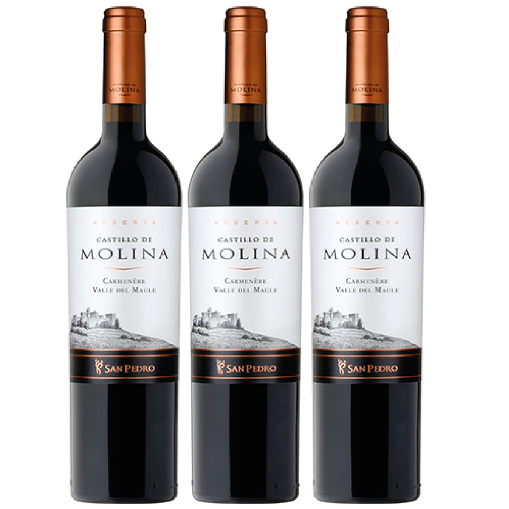 3x Vino Castillo De Molina Carmenere 750cc