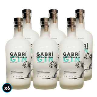 Imagen de CAJA GIN GABRI: 6x Gin GABRÍ Wild Patagonian 750cc 40º alc.