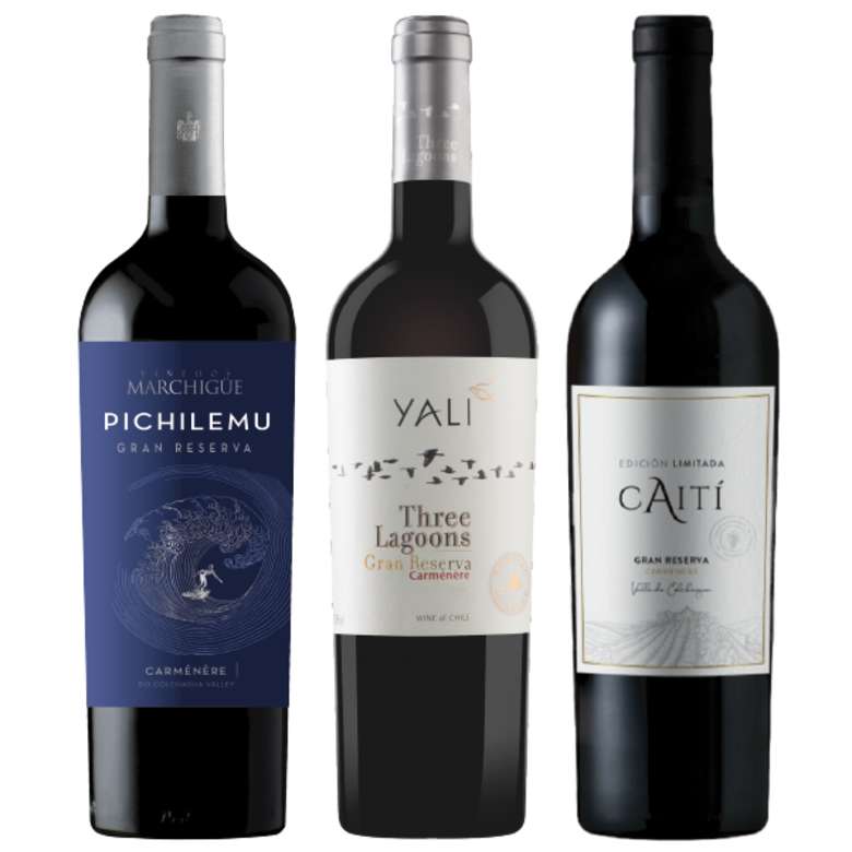 PACK 3 CARMENERE (Gran Reserva): Vino Pichilemu Gran Reserva Carmenre 750cc + Vino Yali Three Lagoons Gran Reserva Carmenere 750cc + Vino Caiti Gran Reserva Carmenere 750cc