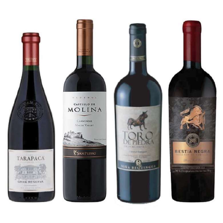 PACK VINOS GRAN RESERVA Nº5: Tarapacá Gran Reserva Carmenere 750cc + Castillo de Molina Carmenere 750cc + Toro de Piedra Cabernet Sauvignon 750cc + Bestia Negra Cabernet Sauvignon 750cc