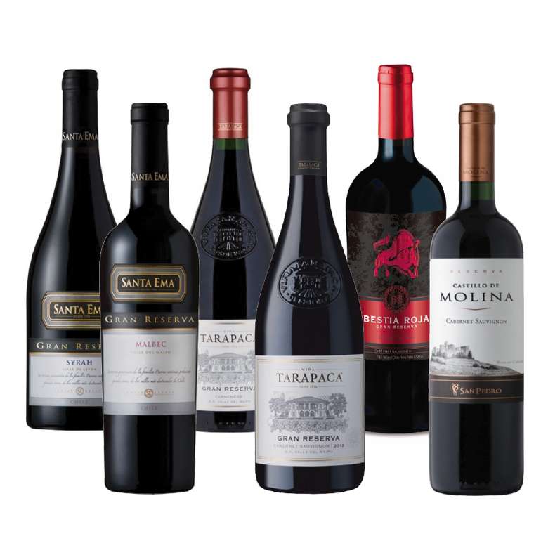 PACK GRAN RESERVA SUMMER Nº3: Vino Santa Ema Gran Reserva Syrah 750cc + Vino Santa Ema Gran Reserva Malbec 750cc + Vino Tarapacá Gran Reserva Cabernet Sauvignon 750cc + Vino Tarapacá Gran Reserva Carmenere 750cc + Vino Bestia Roja Gran Reserva Cabernet Sauvignon 750cc + Vino Castillo de Molina Cabernet Sauvignon 750cc