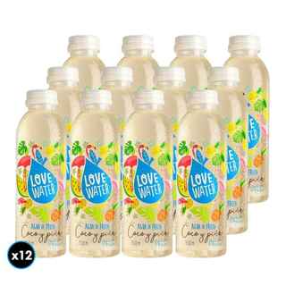 Imagen de 12x Agua Saborizada Love Water Coco Piña 550cc