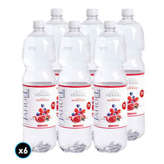 Imagen de 6x Agua Jahuel Berries Sin Gas 1,6 lts. 