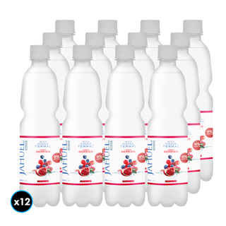 Imagen de 12x Agua Jahuel Berries Sin Gas 500cc 