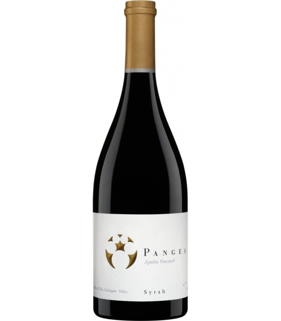 Vino Ventisquero Pangea Syrah 750cc