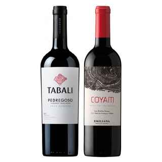 Imagen de DUO COYAM - TABALI: 1x Vino Orgánico COYAM 750cc + 1x Vino Tabali Pedregoso Gran Reserva Cabernet Sauvignon 750cc