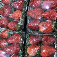 Morango 