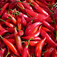 Pimenta dedo de moça cada 100g