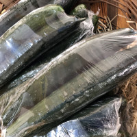 Pepino japonês com 2 uni