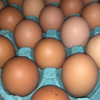 Ovos vermelhos