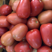 Tomate italiano kg