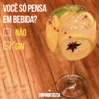 Gin Tônica 