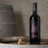 Vinho Tinto Italiano IL Moro Negroamaro Puglia IGP