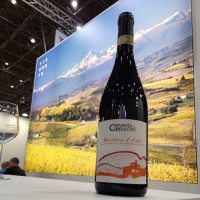 Vinho Tinto Italiano Barbera D’Asti DOCG