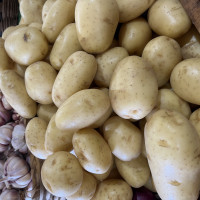 Batata kg