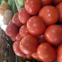 Tomate débora kg