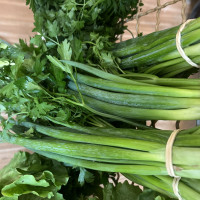 Cheiro verde