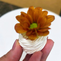 Mini Pavlova 