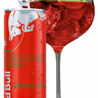 Gin Melancita 