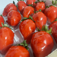 Mini Morango  do Amor