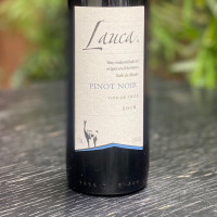 Lauca Pinot Noir