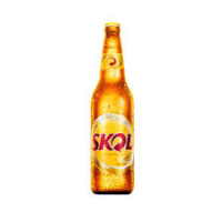 CERVEJA SKOL