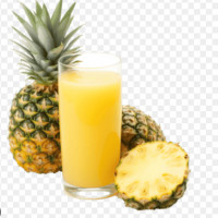 Suco de Abacaxi 300ml
