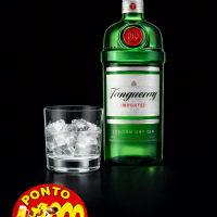 Gin Tanqueray (Dose)