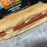 Dog salsicha 