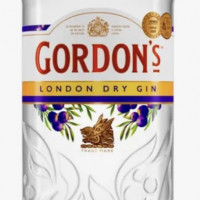 Gin Gordon’s 750 ml