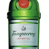 Gin Tanqueray 1 litro