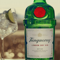 Gin tayqueray 