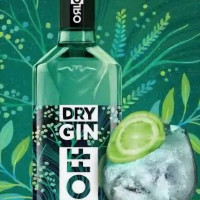 Gin orlof 