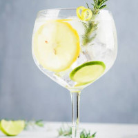 Gin Tradicional 