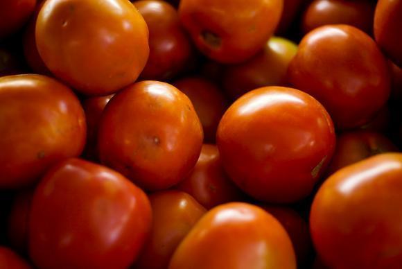 Tomate elza fiuza agencia brasil