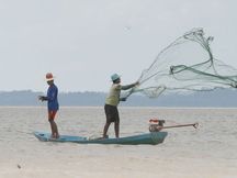 Pesca amazonas