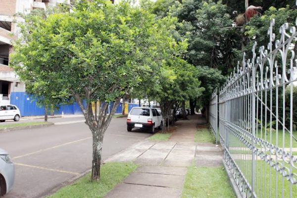 Secretaria do meio ambiente fara a retirada de falsas murtas prejudiciais a citricultura g 13112015 221857