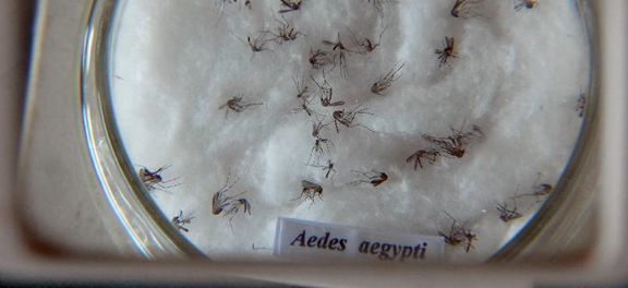 Zika