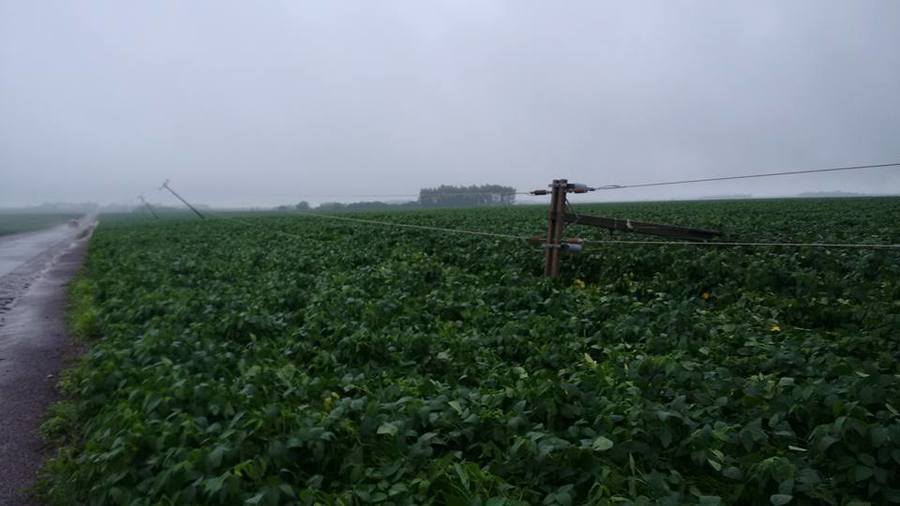 Temporal amauri