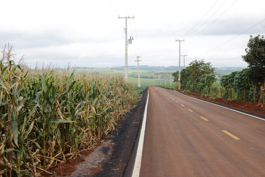 Rodovia rural salto s%c3%a3o francisco  2