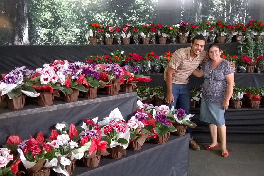 Flores4
