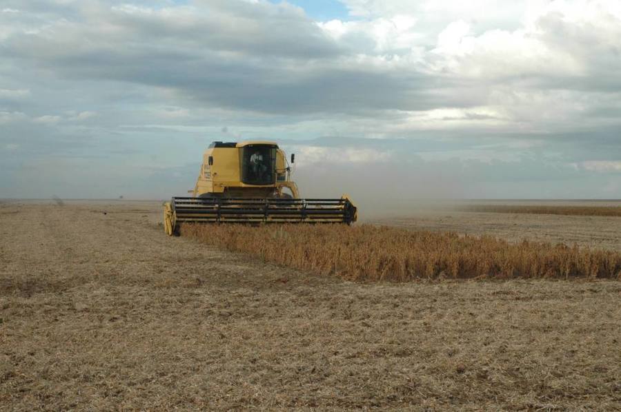 Agricultura arquivo seagro
