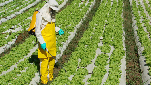Agrotoxicos interna %281%29