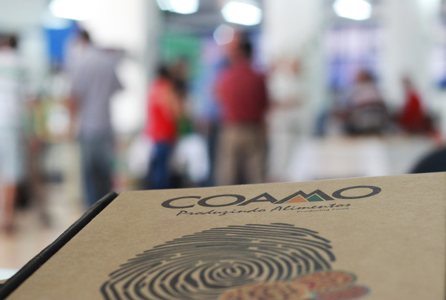 Coamo 2