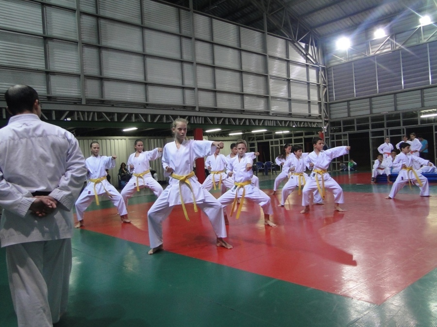 Karate 1