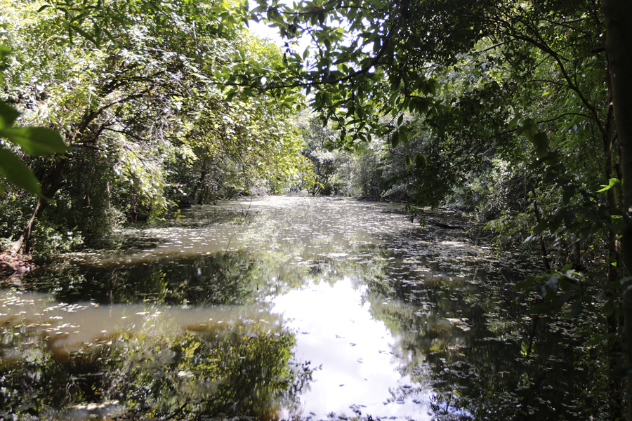 Biodiversidade toledo plano inedito no parana fotos arquivo secom 3
