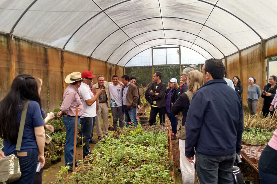 Visita paraguaios florir toledo 4