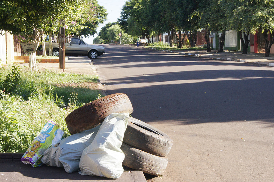 Mutir%c3%a3o de limpeza recolheu entulhos na regi%c3%a3o do jardim europa