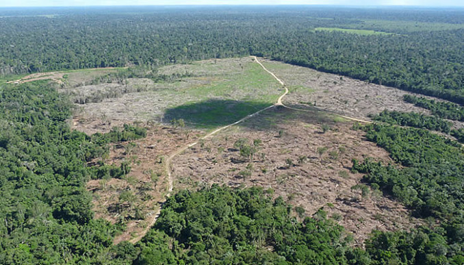 Amazonia ibama