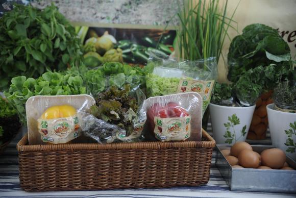 Dia alimenta%c3%a7%c3%a3o